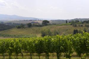 DSC5946