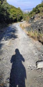 IMG-20200815-WA0021